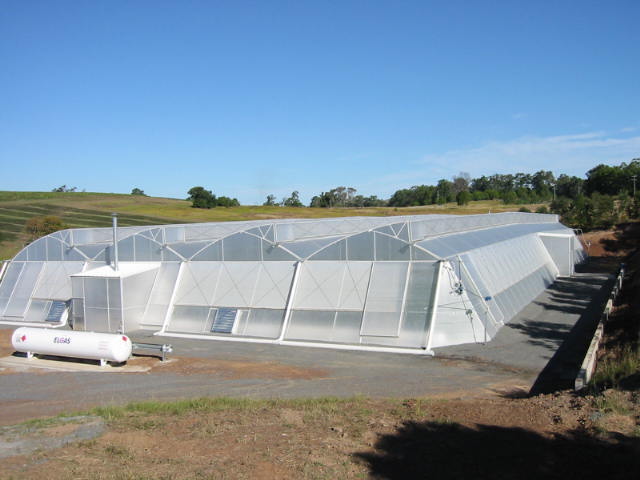 Greenhouse 2