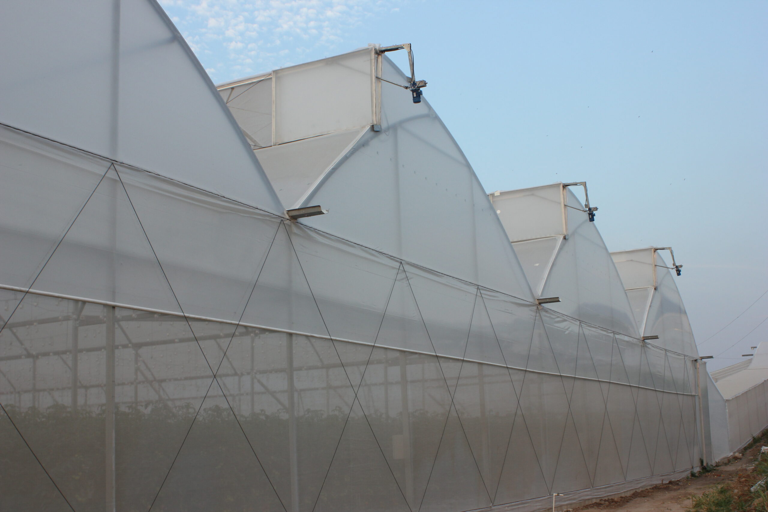 Greenhouse 3